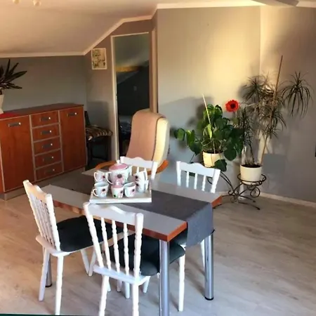 ホームステイ Dom Na Blekitnej Karwieńskie Błoto