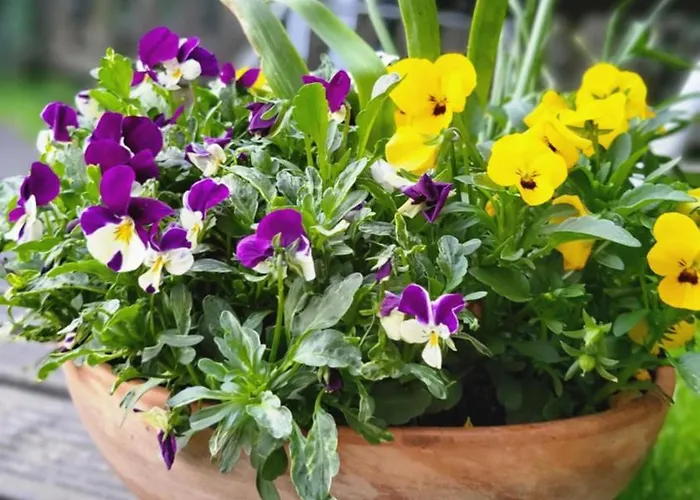 Dom Na Błękitnej Kwatera prywatna