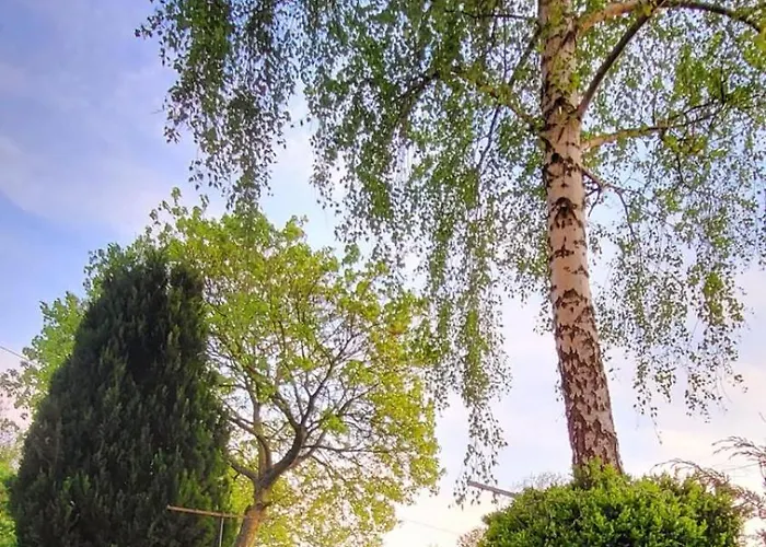 Dom Na Błękitnej * Karwieńskie Błoto